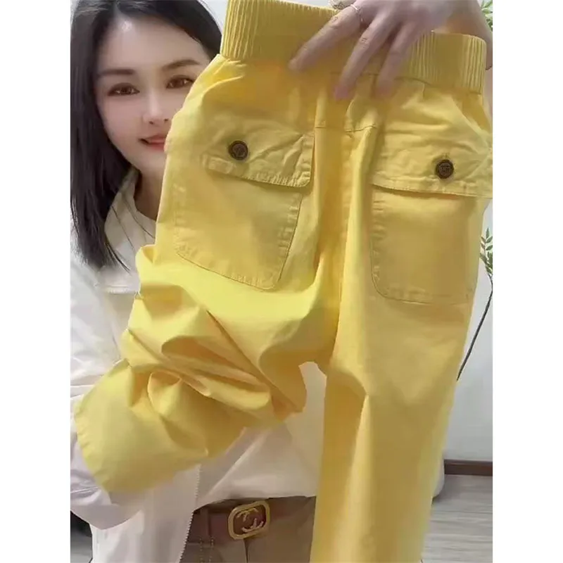 Coreano novo 2025 moda primavera verão haren calças femininas casual solto all-match cintura elástica calças retas senhoras feminino