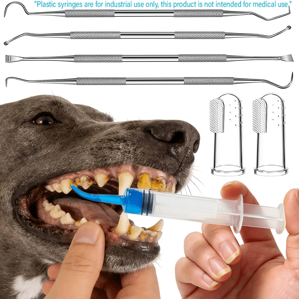 Pet Dog Teeth Cleaning Tool Set, Stainless Steel Tooth Tartar Remover Toothpick Tooth Tartar Scraper, Bent Needle Syringe Cleane