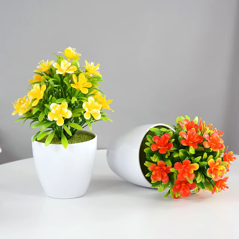 daxton-plant Croton Petra Plant for Sale  Vibrant Tropical Foliage  Tropical Plants of  Florida