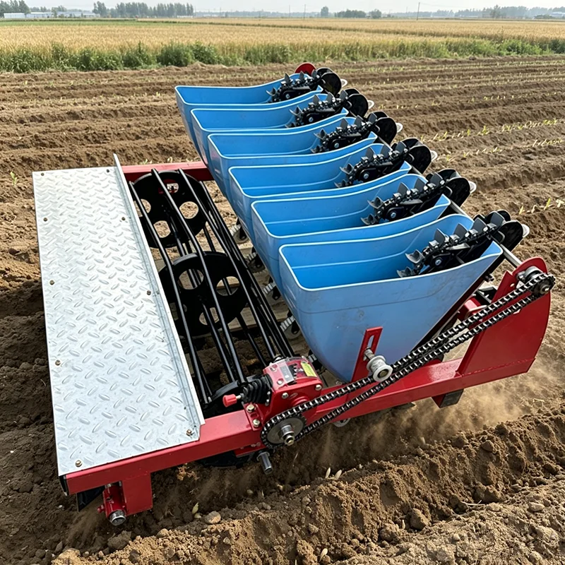 China 6-Row Garlic Planter Tractor 3-Point Hitch Garlic Seeding Machine for Farm