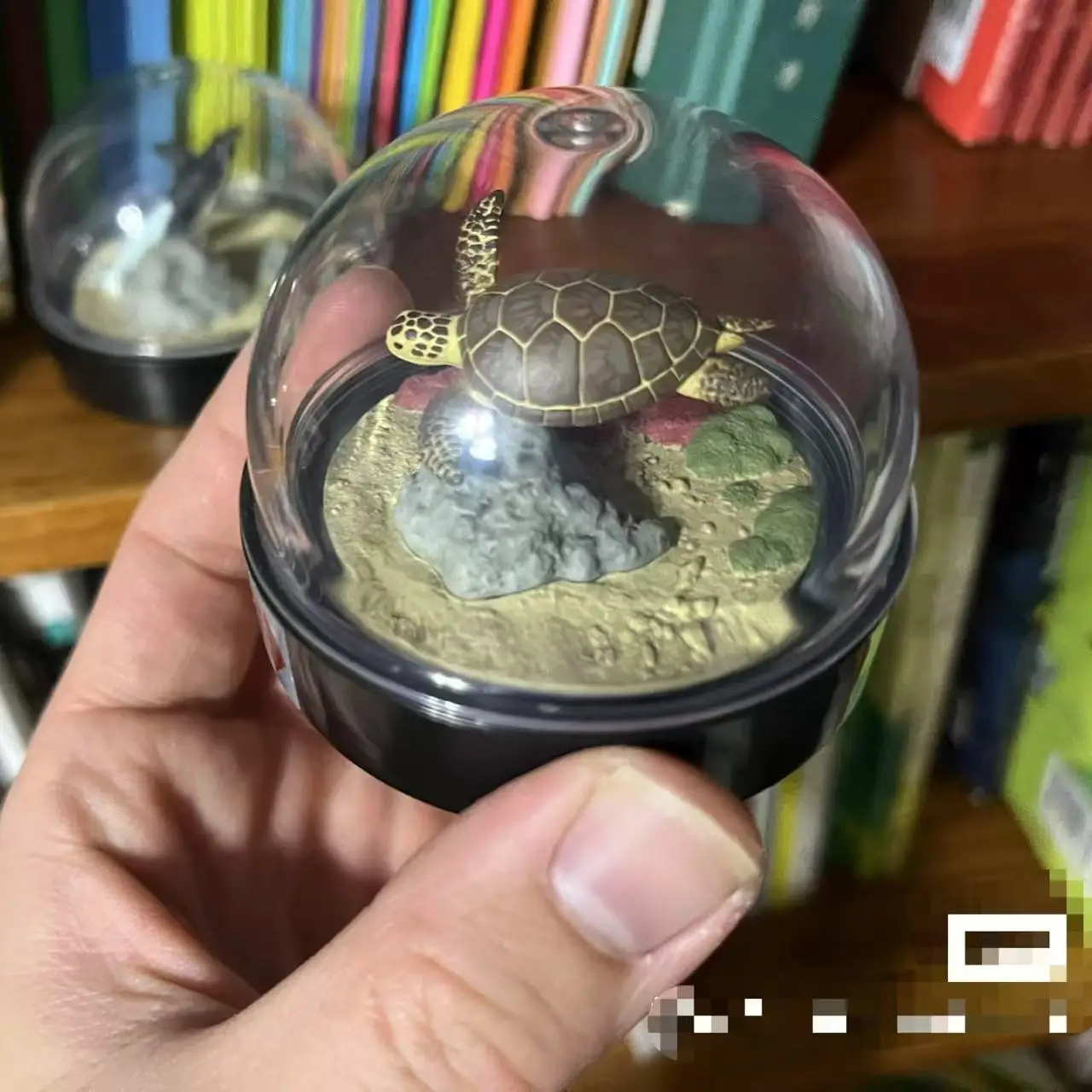 

Genuine Gacha Figure Small Scale Model Turtle Litter Snow Crystal Ball Egg Twist Sea Eel Penguin Action Figure Toys