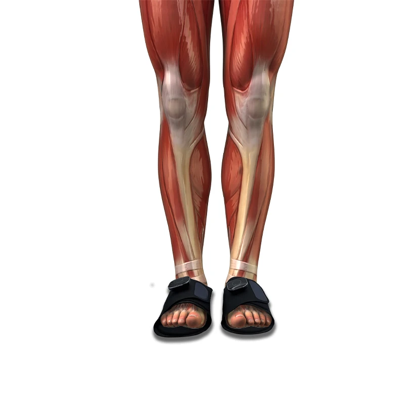 Charging Smart EMS Usb Rechargeable High Quality Foot Vibration Massager Slipper