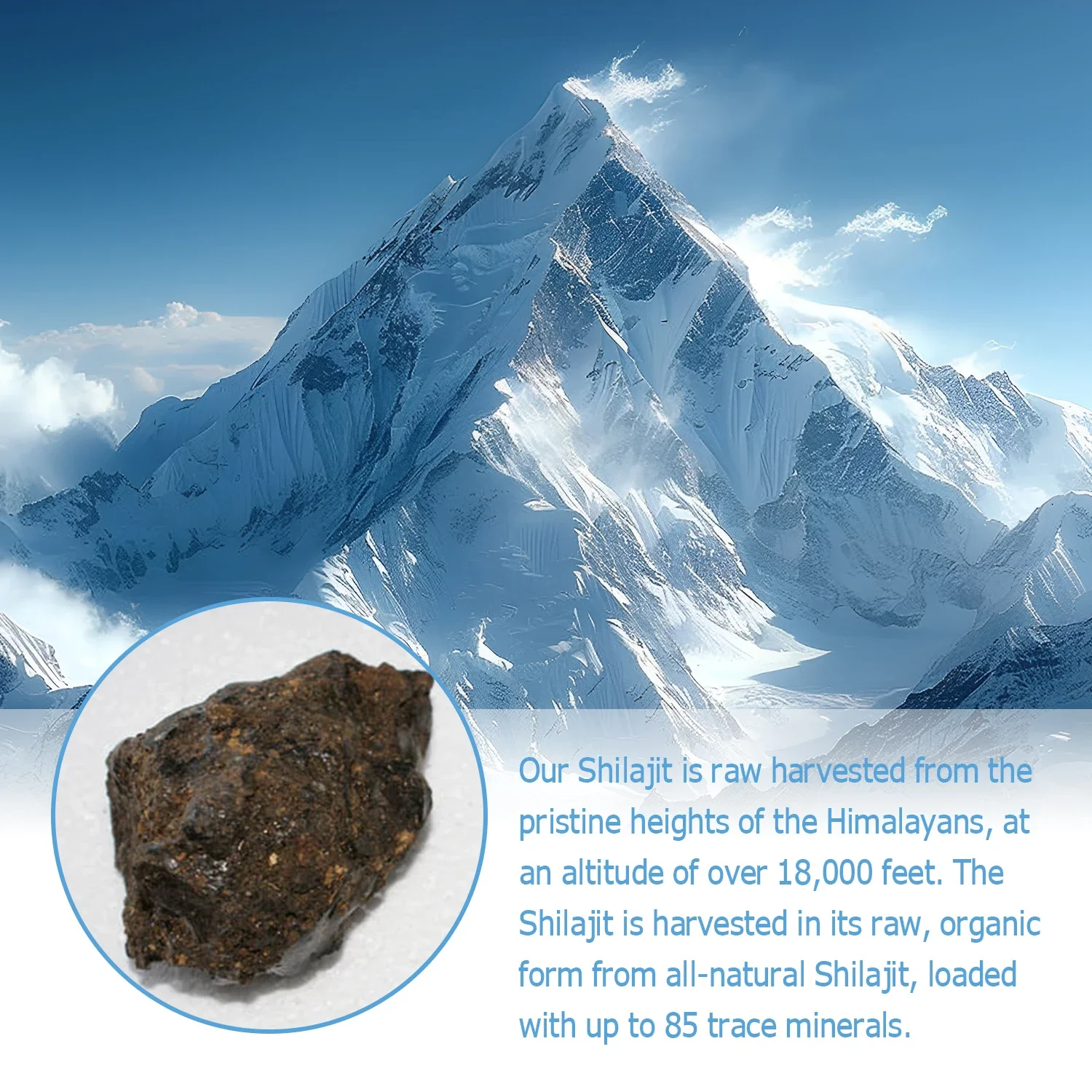 Shilajit-aumenta la energía y la vitalidad, apoya la memoria y la función del cerebro, no OGM