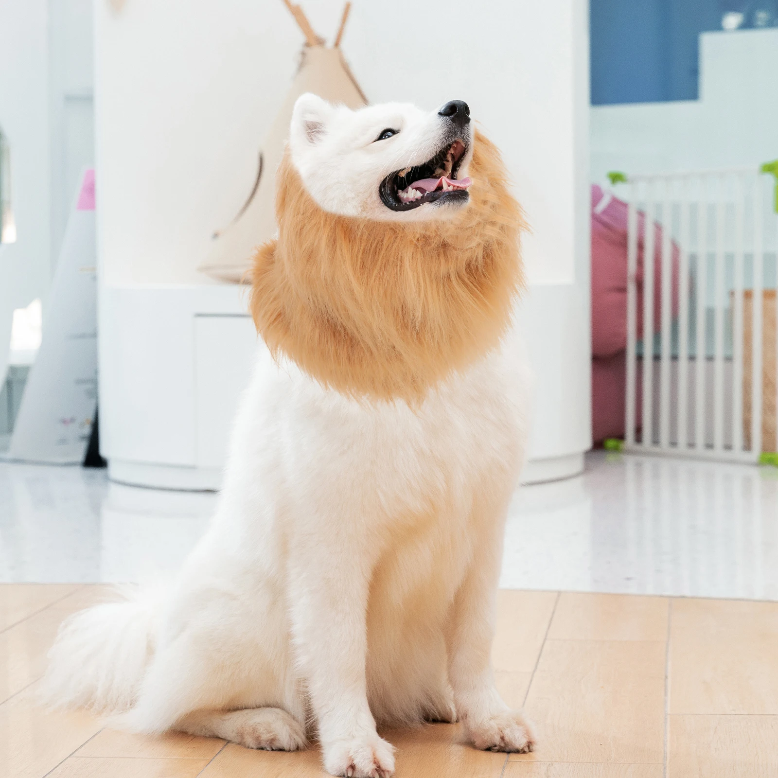 

Pet Scarf Has Fancy Dog Clothes for Large Dogs Lion Costume Turn into Mane Medium Puppy