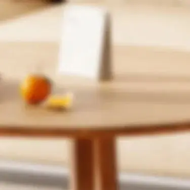 Mini Home Dehumidif…