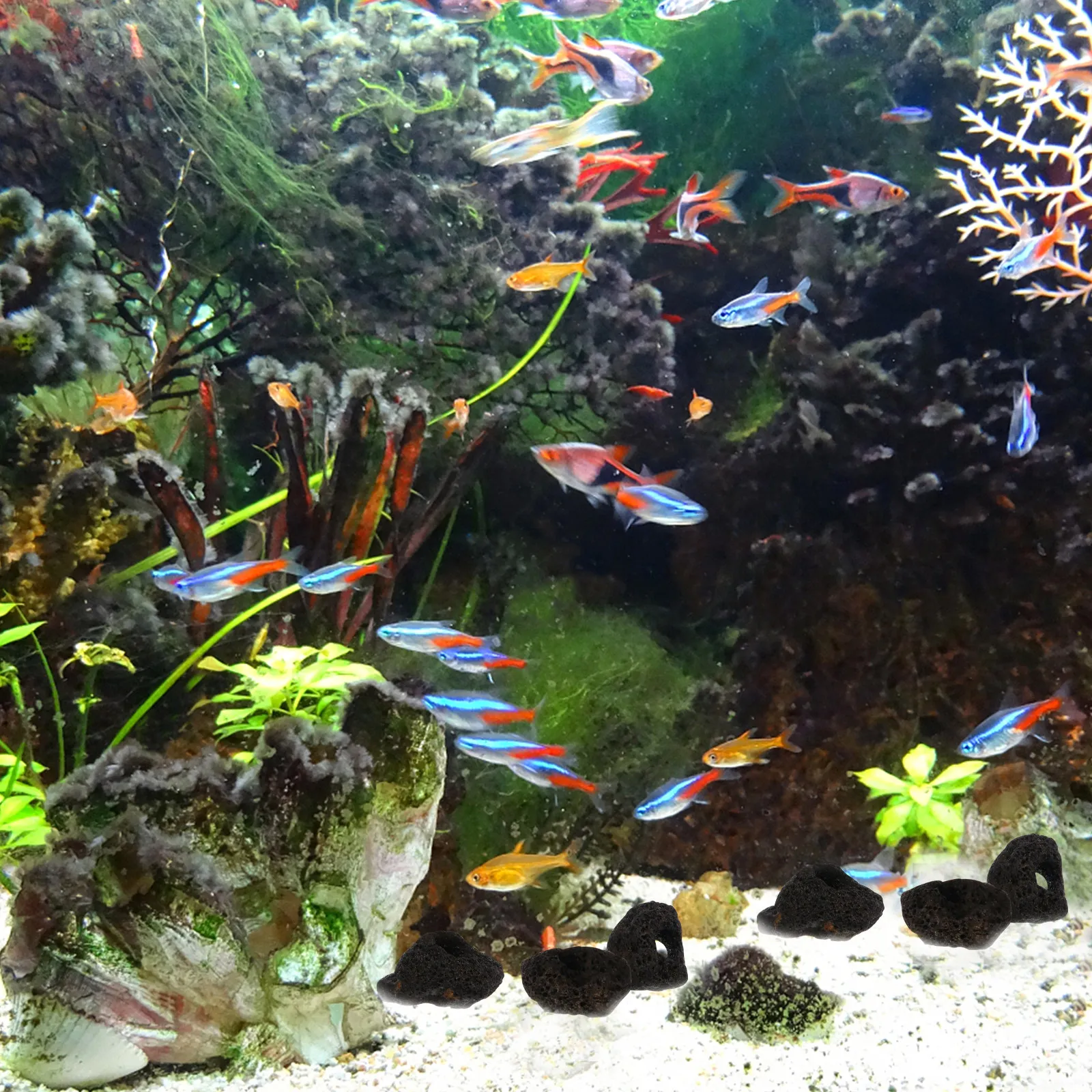 10Pcs Volcanic Rocks Filter Material Natural Stone Fish Shelter Aquarium Habitat Fish Tank Stone Cave Ornament