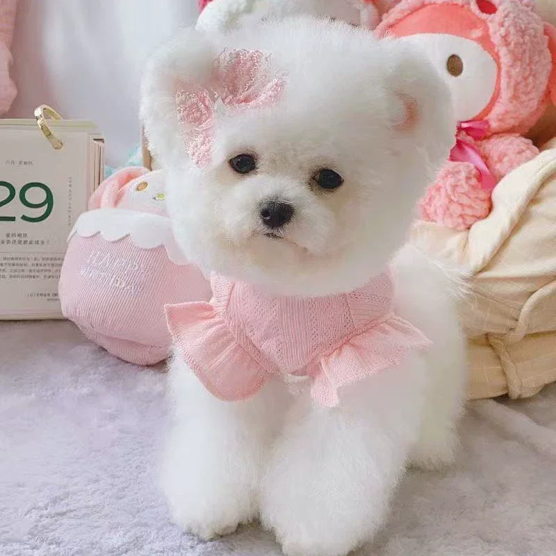 Abrigo Delgado y Transpirable para Perros de Razas Pequeñas como Teddy, Pomerania, Bichón, Poodle y Schnauzer - Ropa para Mascotas de Cachorro a Adulto
