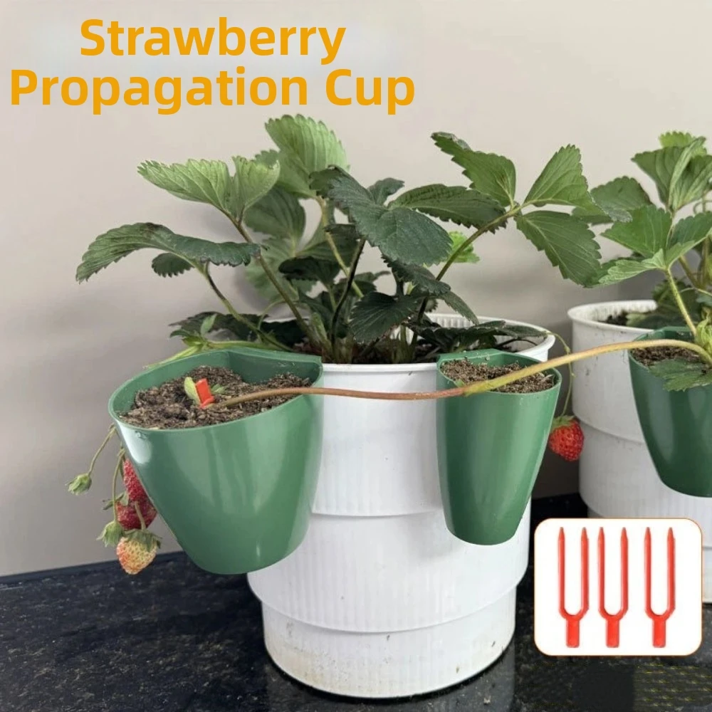 5PCS Hanging Strawberry Propagation Cups Green Plastic Breathable Cups Easy Transplanting Eco-Friendly Planting Cups Gardens