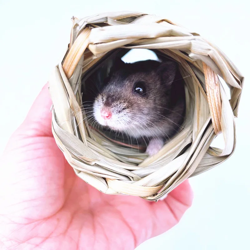 Pet Handmade Woven Pet Grass Nest Rabbit Hamster Nest Hand-woven Pet Hamster Grass Toy
