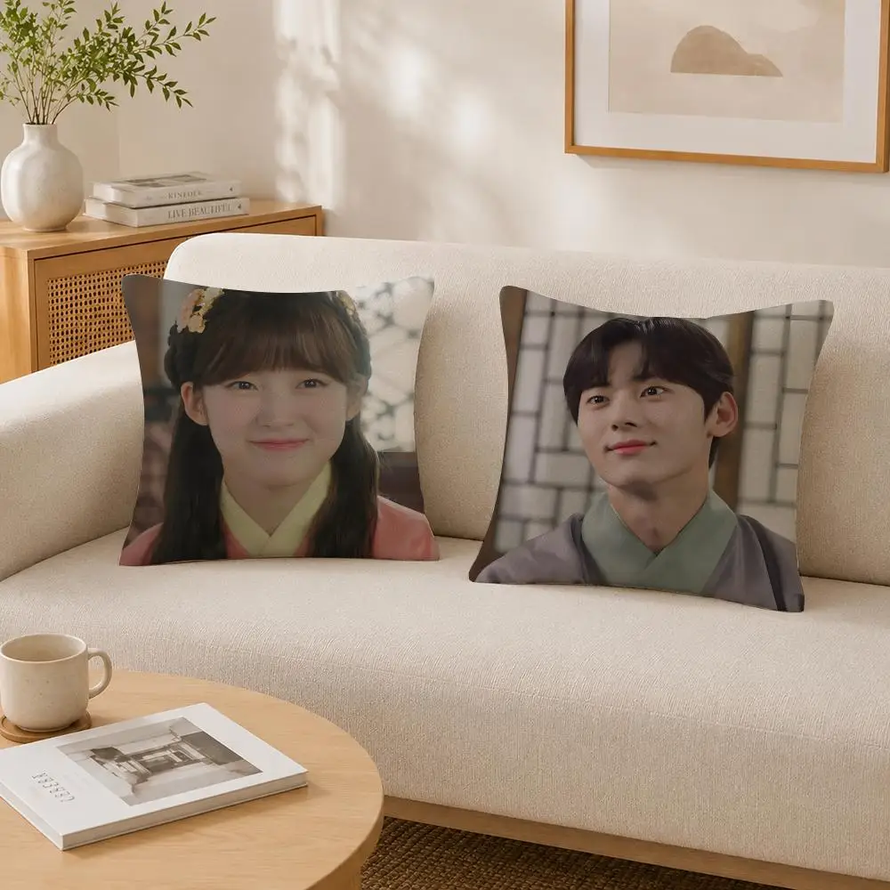 TV Series Alchemy of Souls Cushion Cover Soft Fluffy Short Plush  Pillow Case  Sofa Bed Home Decor