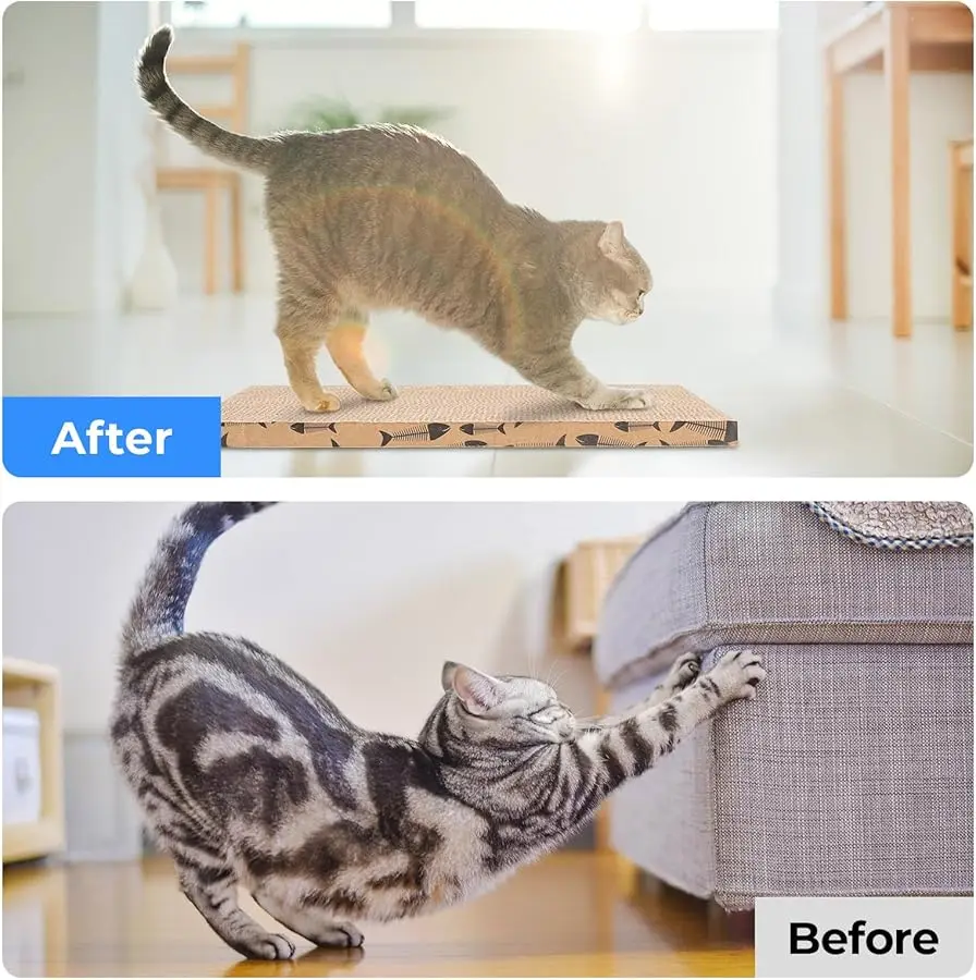 لوحة خدش من الورق المقوى للقطط، وسادة خدش للقطط الداخلية (5 قطع) #4