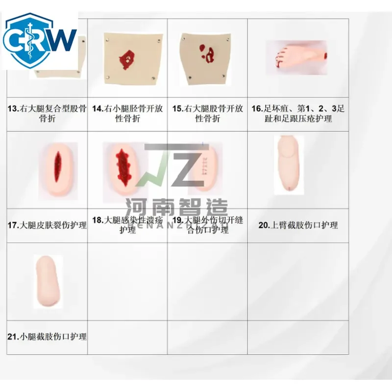 CRW Bestselling Zhizao Medical Science Trauma Caring Assessment Modules With 20 Parts Trauma Caring EvaluationModules