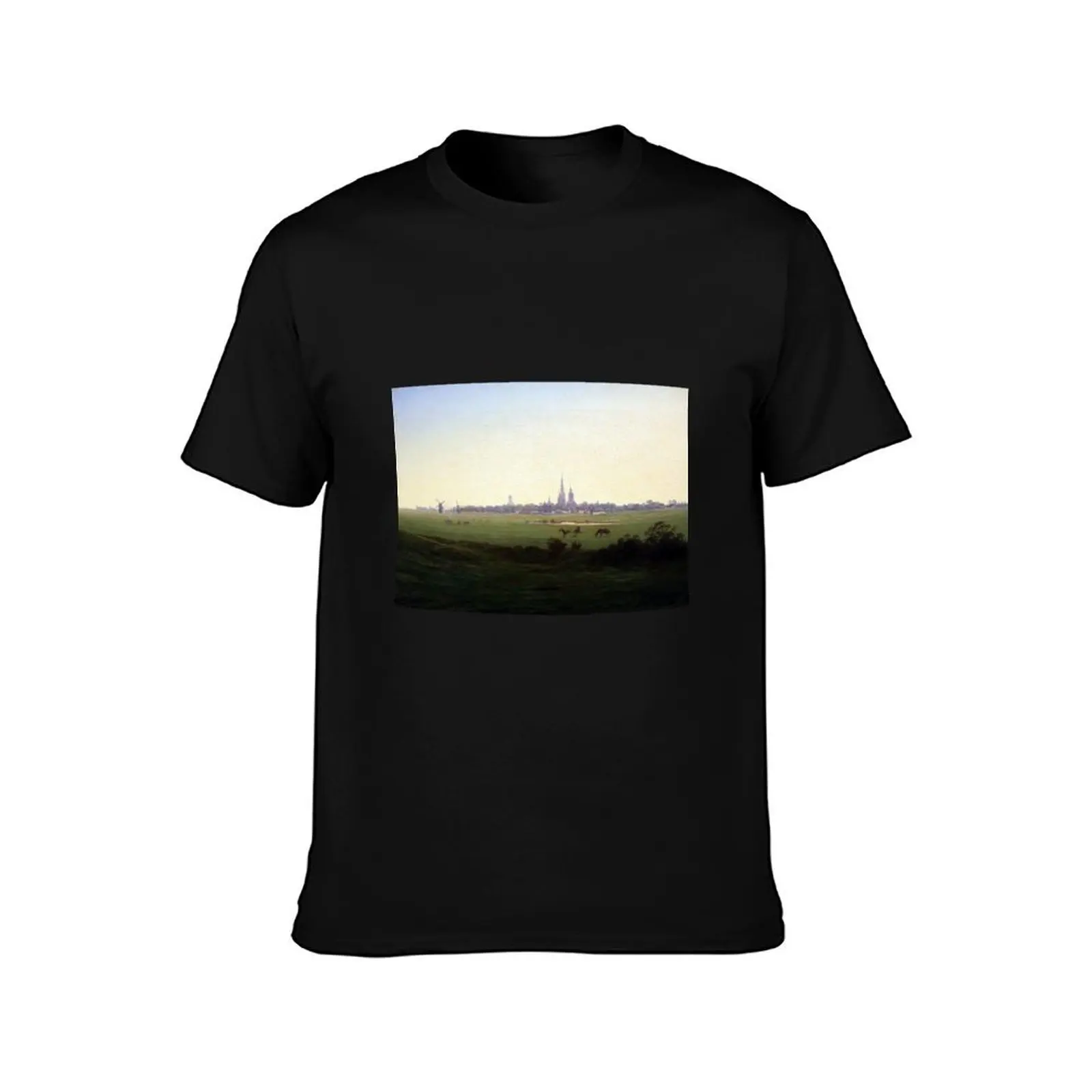 Caspar David Friedrich Meadows near Greifswald T-Shirt Urban Style Print T-Shirt
