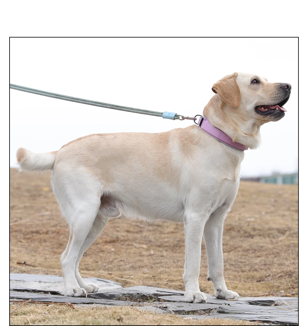Taktisches Hundehalsband, verstellbares Hundehalsband für mittelgroße und große Hunde, Golden Retriever-Halsband mit Kontrollgriff, hochwertige Schnalle. – Detail 18