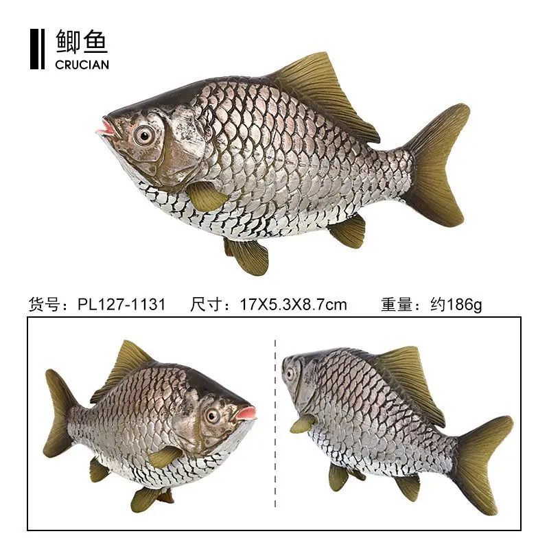 Simulated marine animal models, freshwater fish crucian carp, plastic toy fish tank ornaments, children's cognitive figure