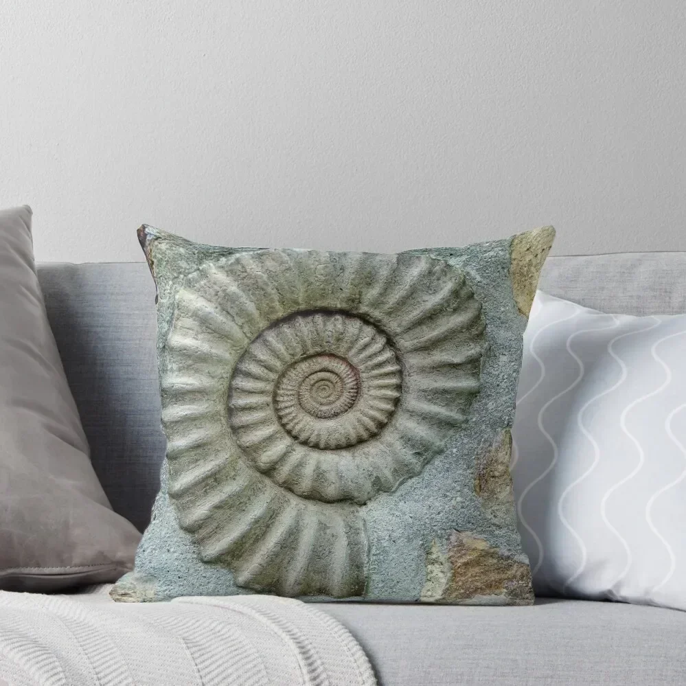 A Home For Old Fossils? Throw Pillow Pillowcase Cushion Decorative pillowcase Cusions Cover Luxury Pillow Case pillow