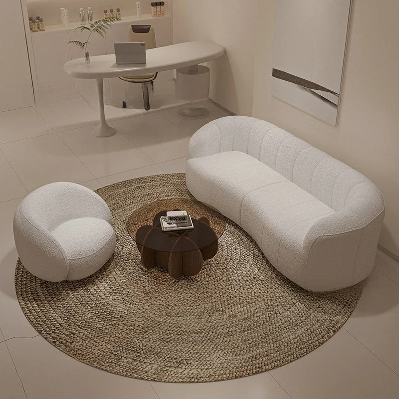 Nordique, luxe léger, laine d'agneau, canapé, magasin de vêtements