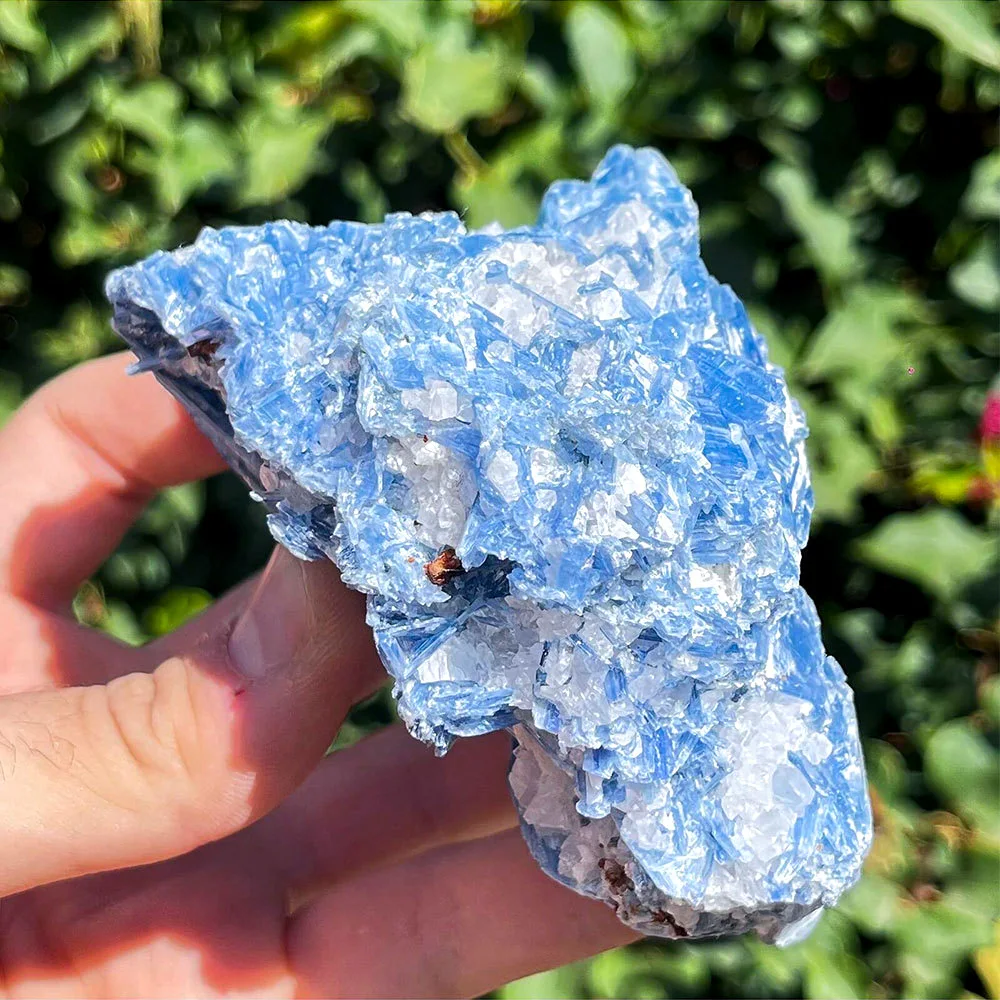 Natural Raw Blue Kyanite Mineral Healing Crystals Irregular Shape Rough Stones Home Decoration Gemstone Specimen Collection Gift