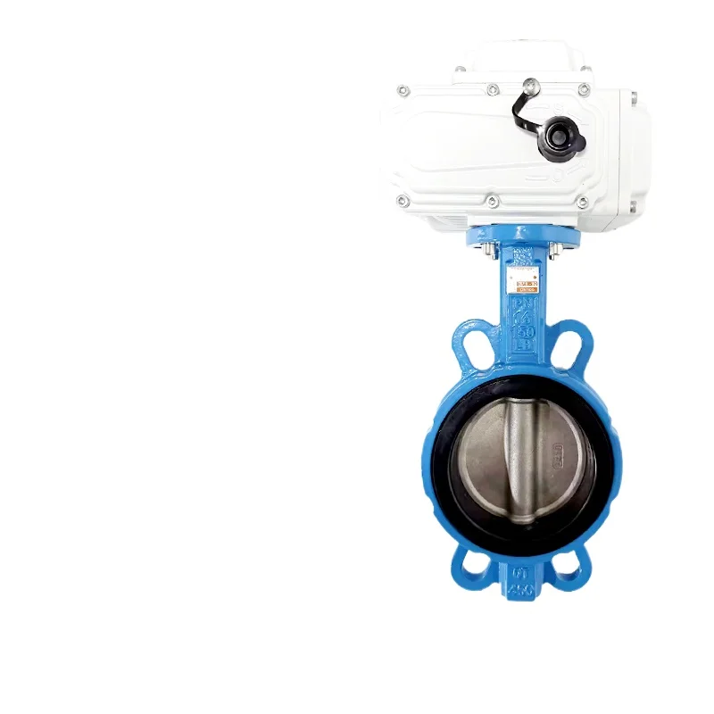 

Electric Butterfly Valve D971X-16Q Electric Wafer Type Explosion-proof/Waterproof Valve Stainless Steel Valve DN50-DN500
