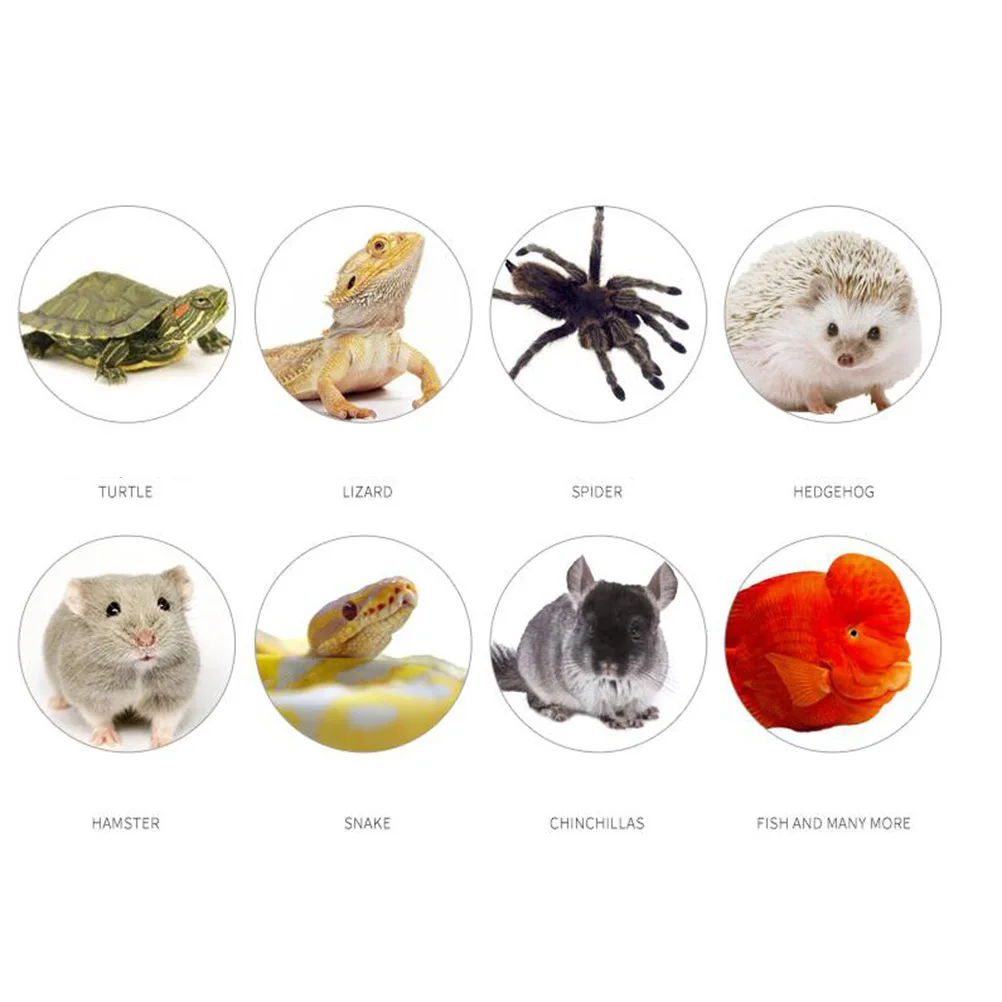 

1pc 5W Heat Mat Reptile Heating Pad Adjustable Temperature Uniform Heating Thin Flexible Warm Environment Spider Tortoise Snake