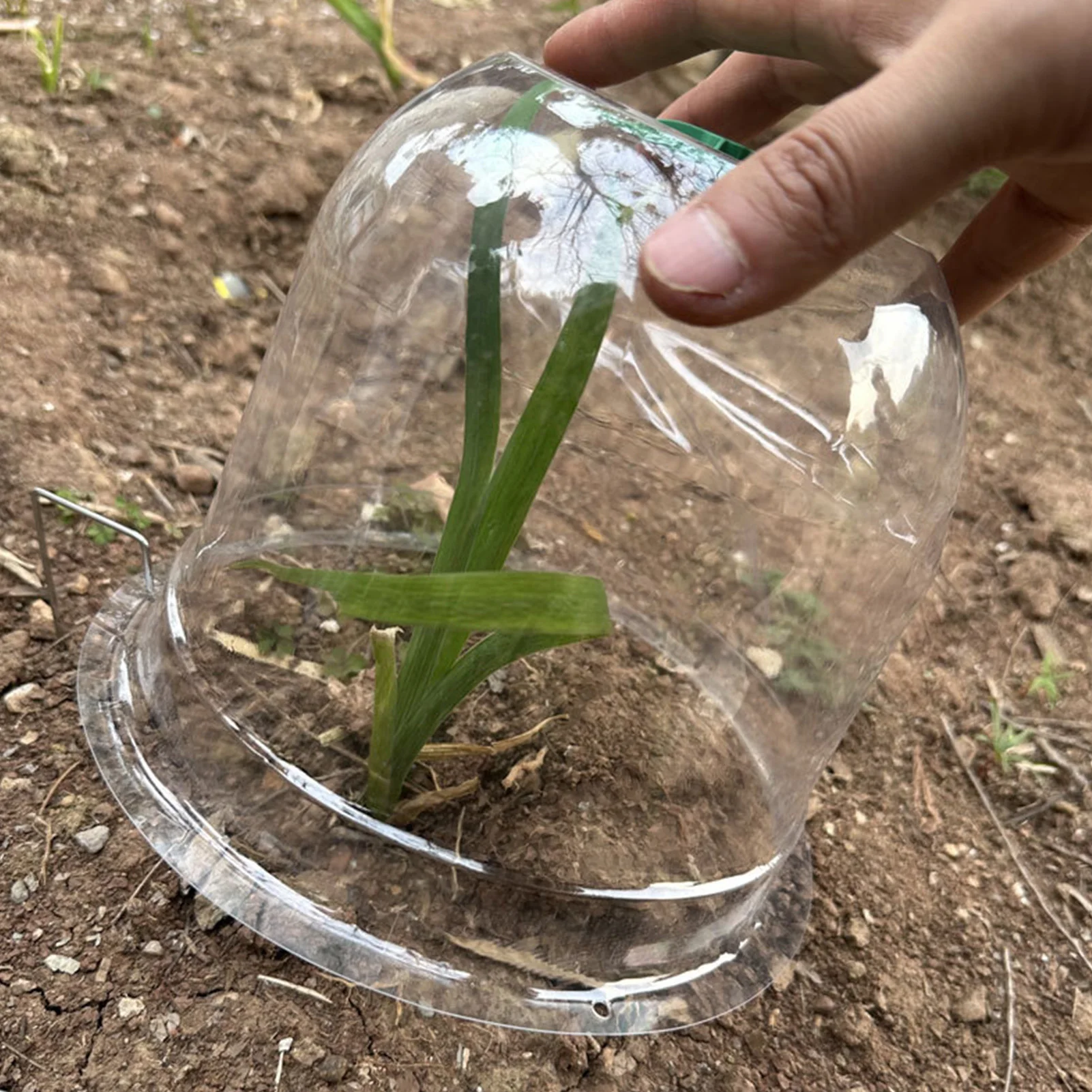 Plant Cloche For Garden Waterproof Transparent Freeze Protective Cover Seedling Plants Protection Covers For Winter Outdoor