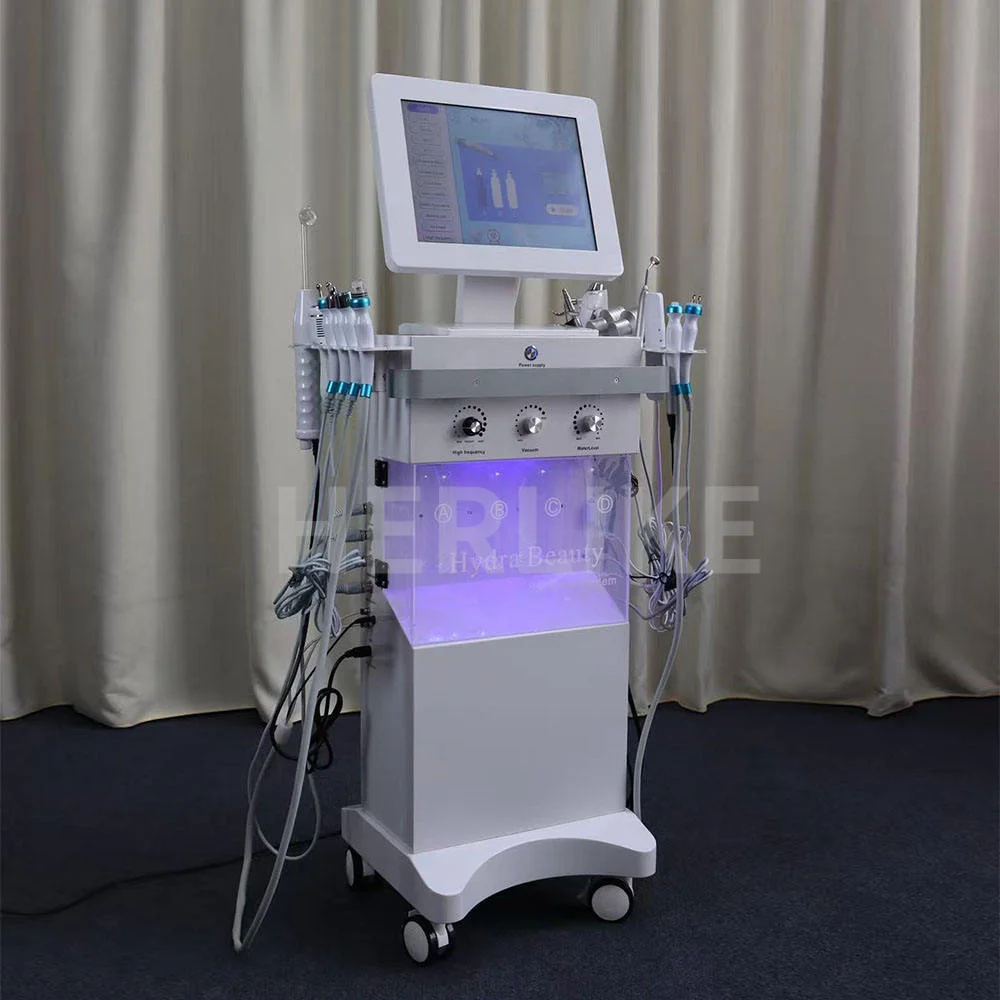 14/15 in 1 Hydra Piccola bolla Pulizia del viso Rafforzamento della pelle Rimozione dei punti neri Peeling dell'acqua Ringiovanimento della pelle Hydro Machine