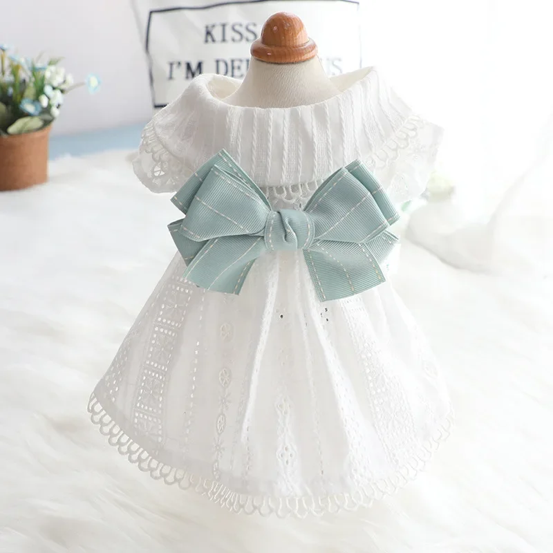 Dog Clothes Spring and Summer Thin Skirt Lolita Princess Mint Butterfly Cat Pet