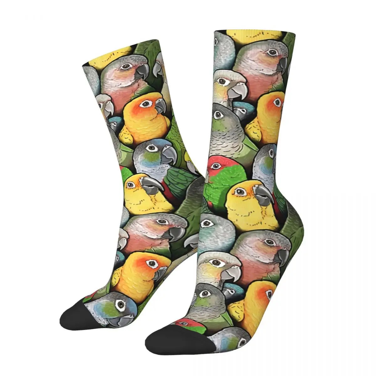 

Sock for Men Colour Of Conures Hip Hop Harajuku Cute Parrot Bird Happy Quality Pattern Printed Boys Crew Sock Novelty Gift