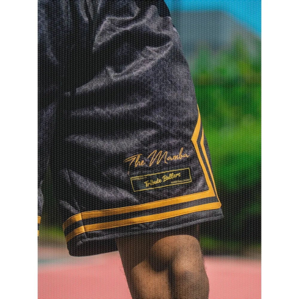 Salute To Basketball Legends, Special Edition Basketball Shorts, 3D Printed Sports Shorts, Quick Drying Basketball Jersey Shorts
