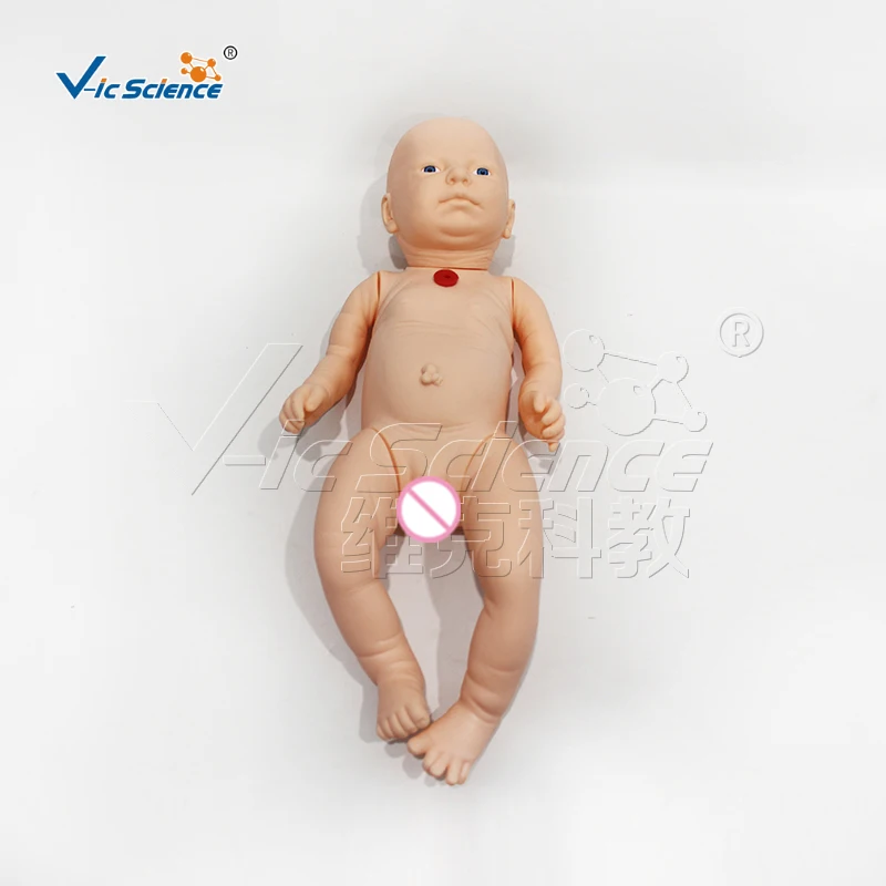 Advanced infant tracheotomy nursing model