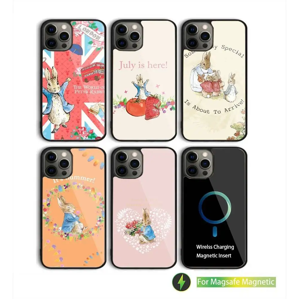 

P-Peter Bunny RabbitS Phone Case For iPhone 16,15,14,13,12,11,Pro,Max,Plus,Mini,SE New Magsafe Magnetic Wireless Charging