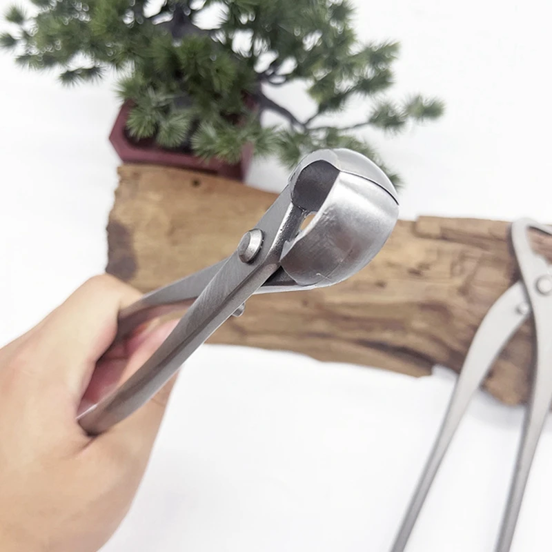 

1 Set Bonsai Modeling Tools Round Mouth Scissors + Bevel Scissors + Branching Shears Gardening Ball Knot Scissors
