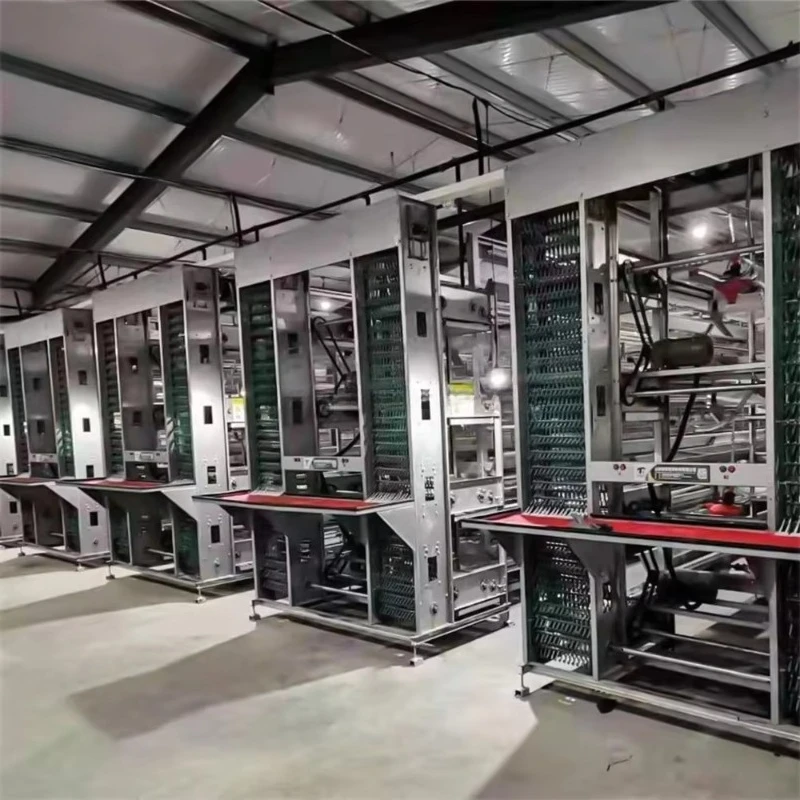 Farming Closed Chicken House Design Galvanized Steel Automatic Egg Collecting System Poultry Battery Cage Equipment