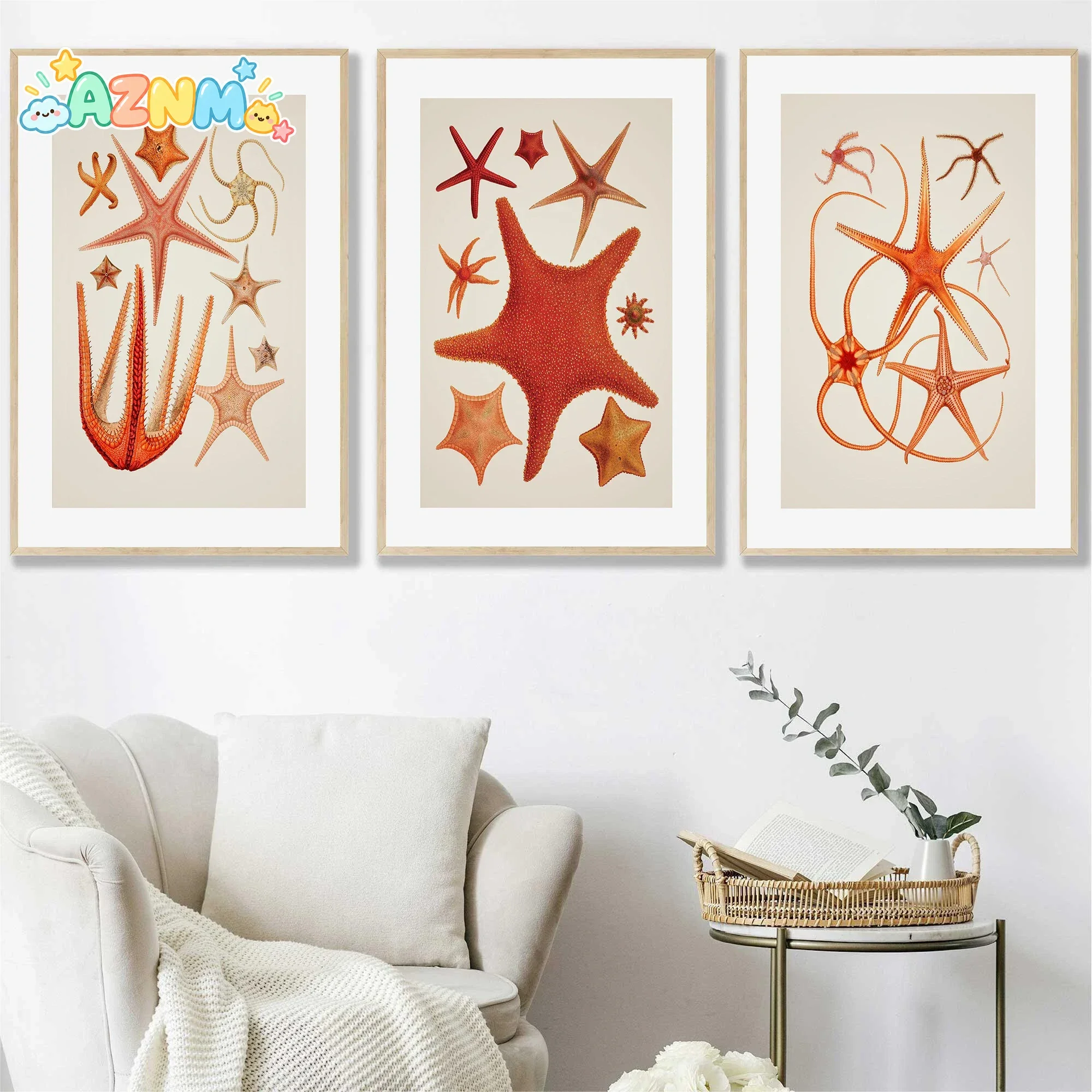 Wonderful Marine Life Starfish Conch and Lobster Cute Canvas Posters and Printed Pictures for Bedroom and Children's Room Dec
