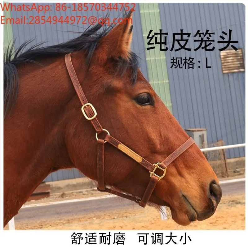 Equestrian Supplies Wear-resistant and Durable Adjustable Size Pony Harness Faucet