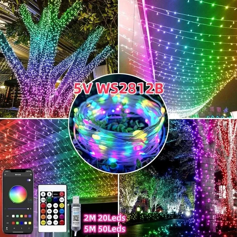 2M/5Meters Dream Color LED String Lights USB Remote Smart Music WS2812 RGBIC LED Fairy Light Waterproof IP67 for Party Christmas
