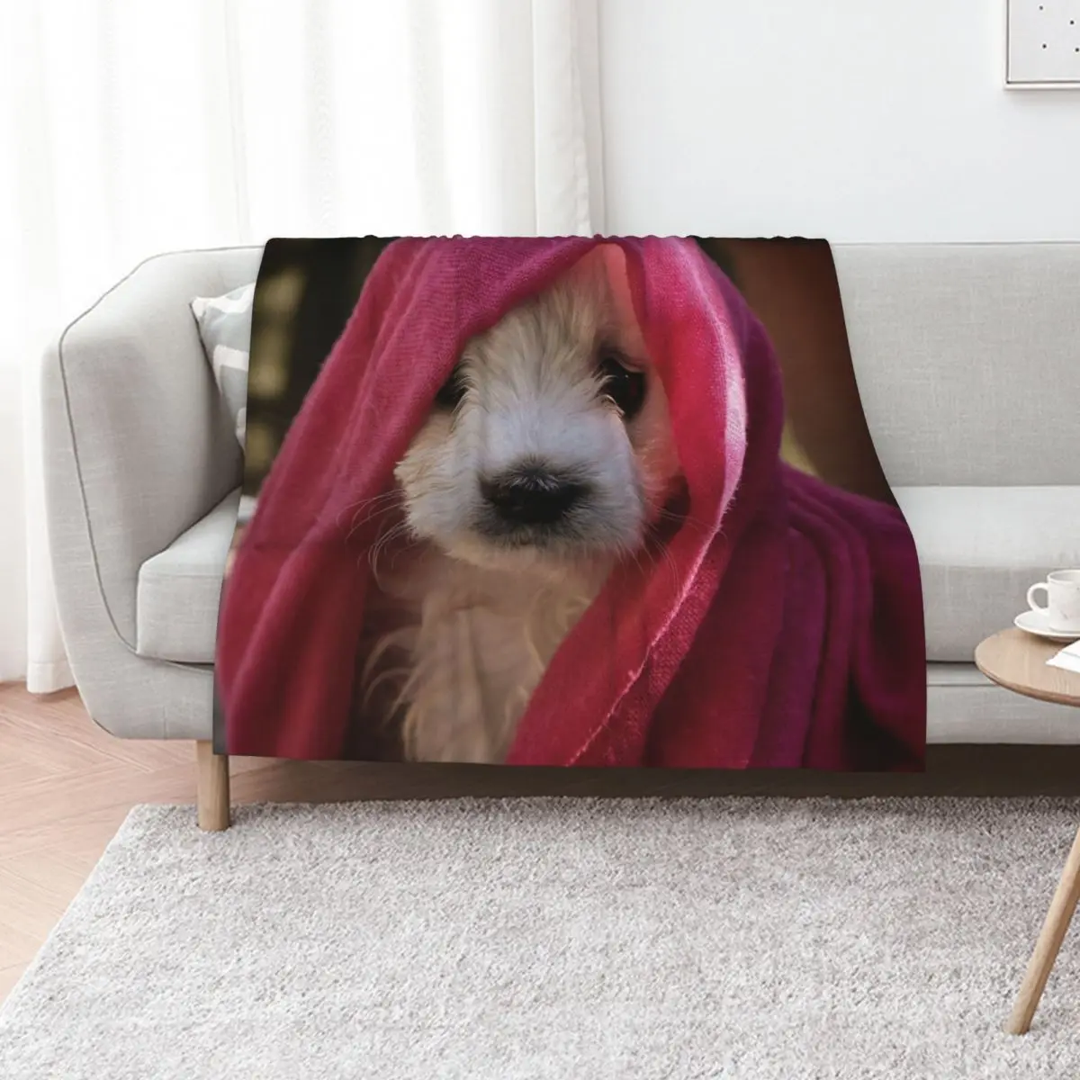 Gypsy ~ Bichon Throw Blanket Luxury Designer Luxury Summer Beddings Cute Plaid warm winter Single Blankets