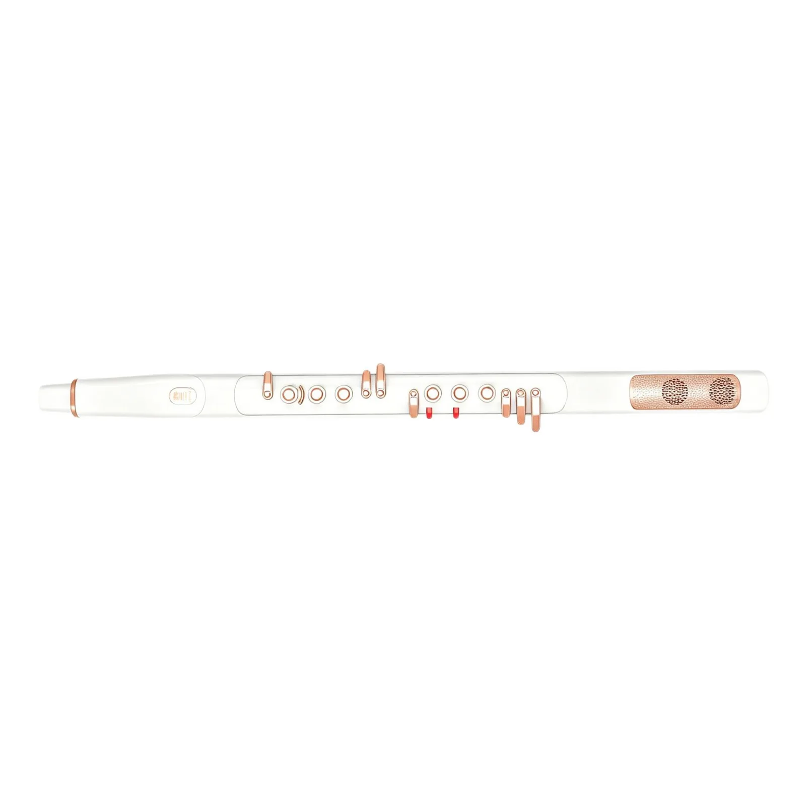 Electronic Wind Instrument, Easy to Learn for Beginners, Seniors, E-Flute, Digital Dizi, Portable MIDI Controller