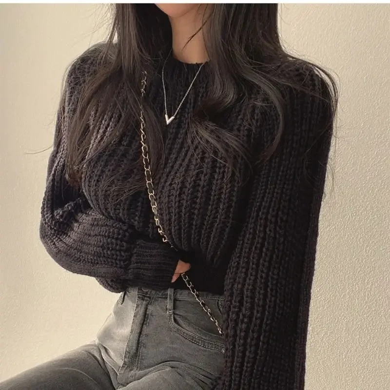 Round O Neck Pullover Knitted Top For Women Brown Short White Ladies Sweaters Crop Cheap And 2025 New In Offers Y2k Vintage