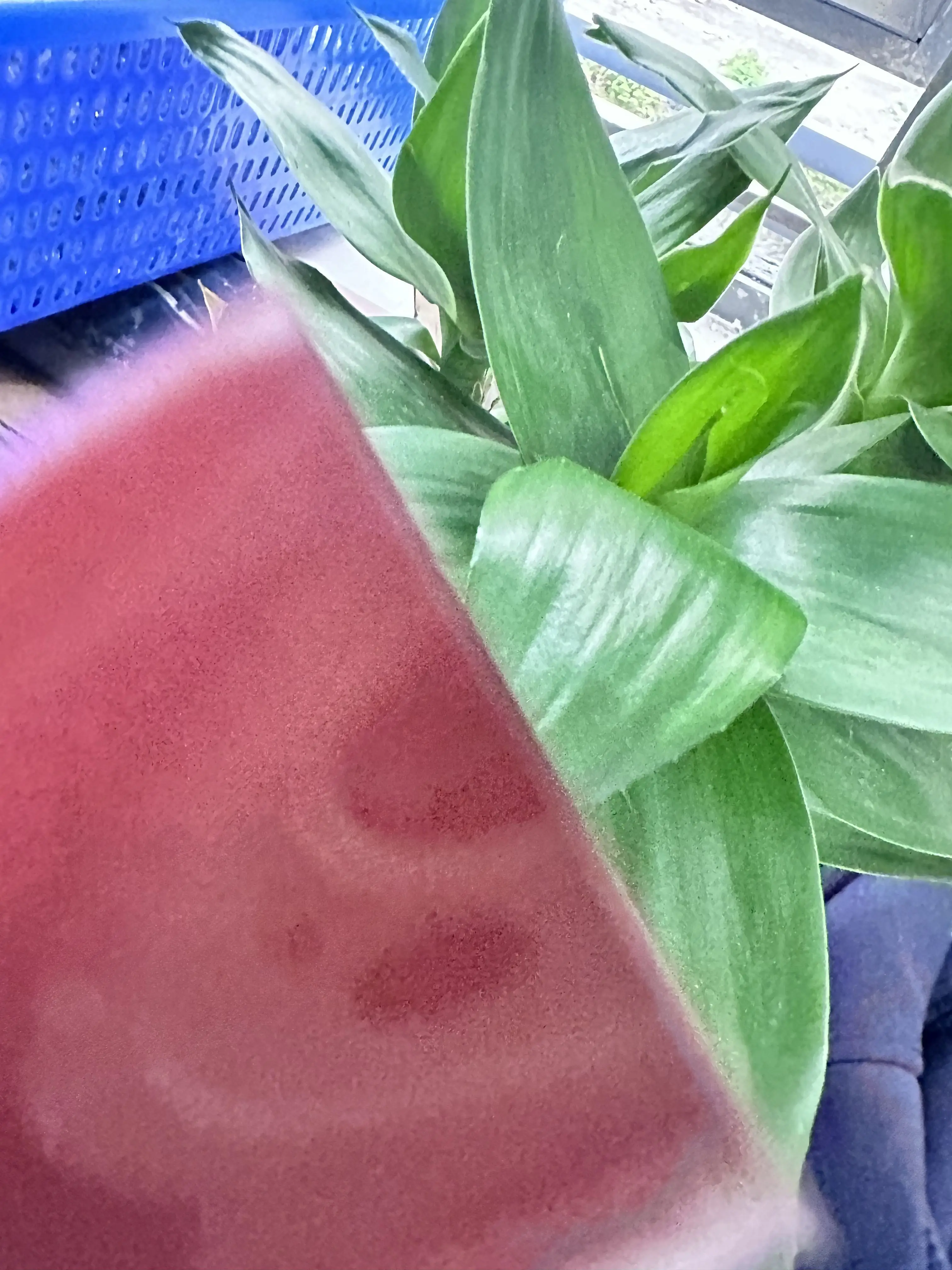 

1X FILM-T5055C 6LJ59010000 6LJ71676000 Fuser Film Sleeve for TOSHIBA E-Studio 2555C 3055C 3555C 4555C 5055C