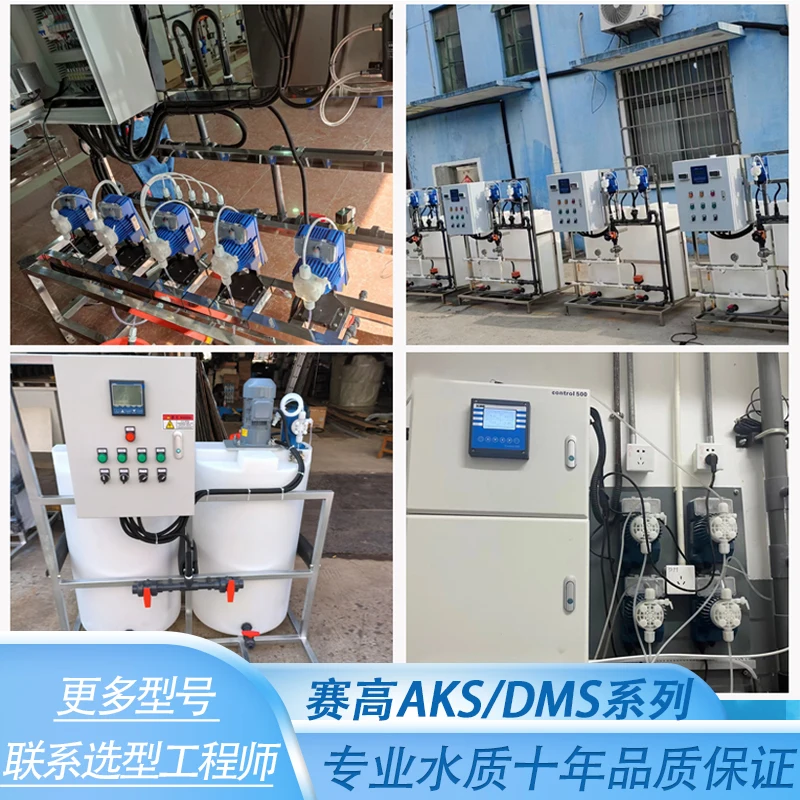 DMS200 Electromagnetic Diaphragm Metering Pump APG AKS603/803 Accessories Diaphragm Dosing Flow Pump