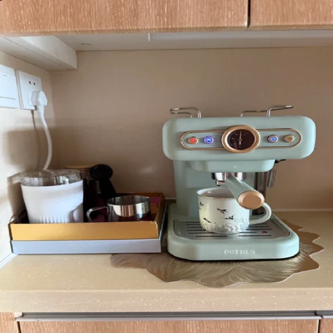 220V Petrus Retro Espresso Coffee Machine Semi Automatic Compact for Home Use with Steam Milk Frother DC