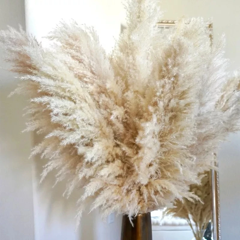 Hurtownia 10szt Boho Wedding Decor Large Sleeve Dry Pampas Grass Flower Decor Natural Real Preserved Dried Pampas For Home Decor