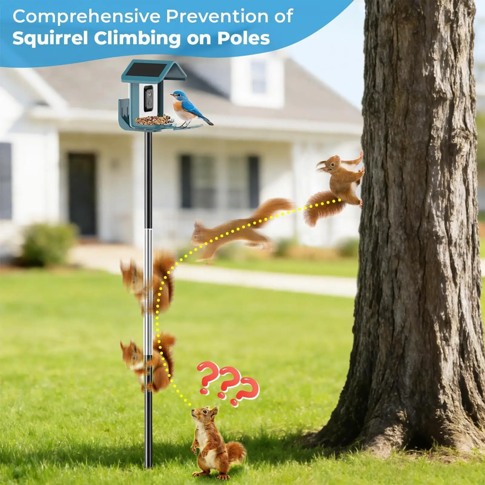 Squirrel Baffle For Bird Feeder Pole Heavy Duty Clear Waterproof Protector Bird Feeder Squirrel Baffle For Outside Backyard