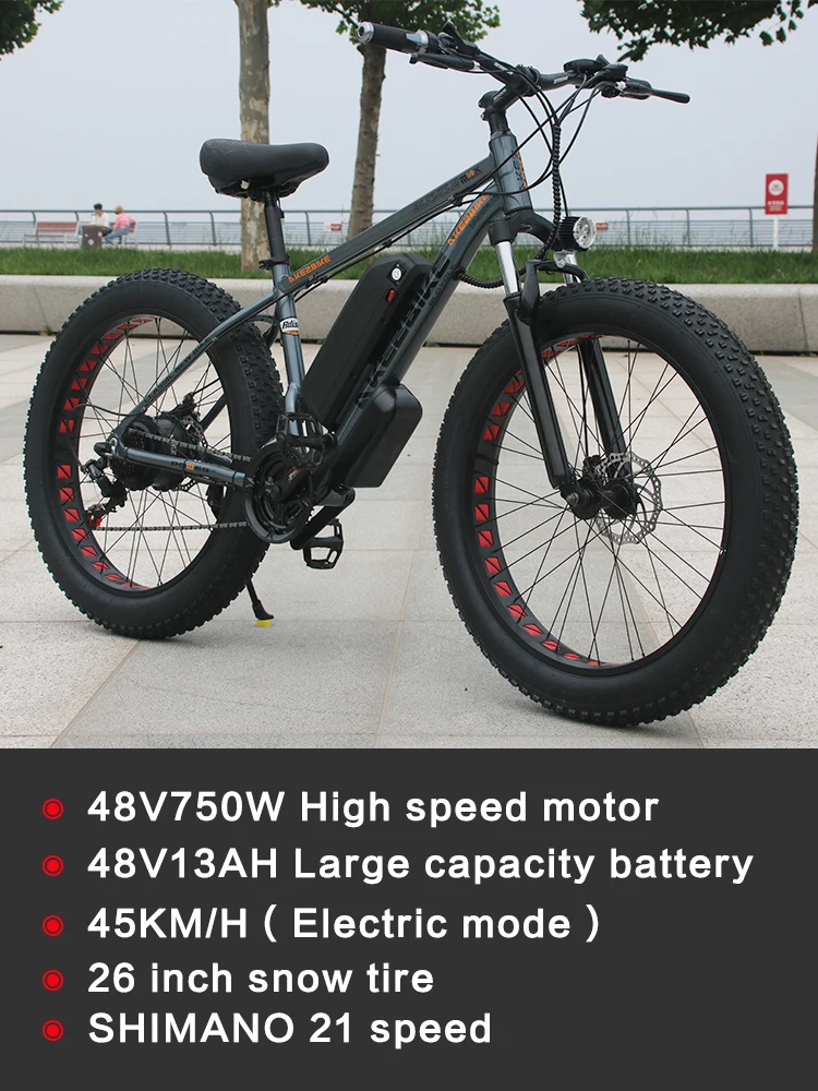 2024 Hot Selling 48V 750W Ebike Fat Bike Electric Cycle 26 Inch Fat Tire E Bike Mountainbike for Adults