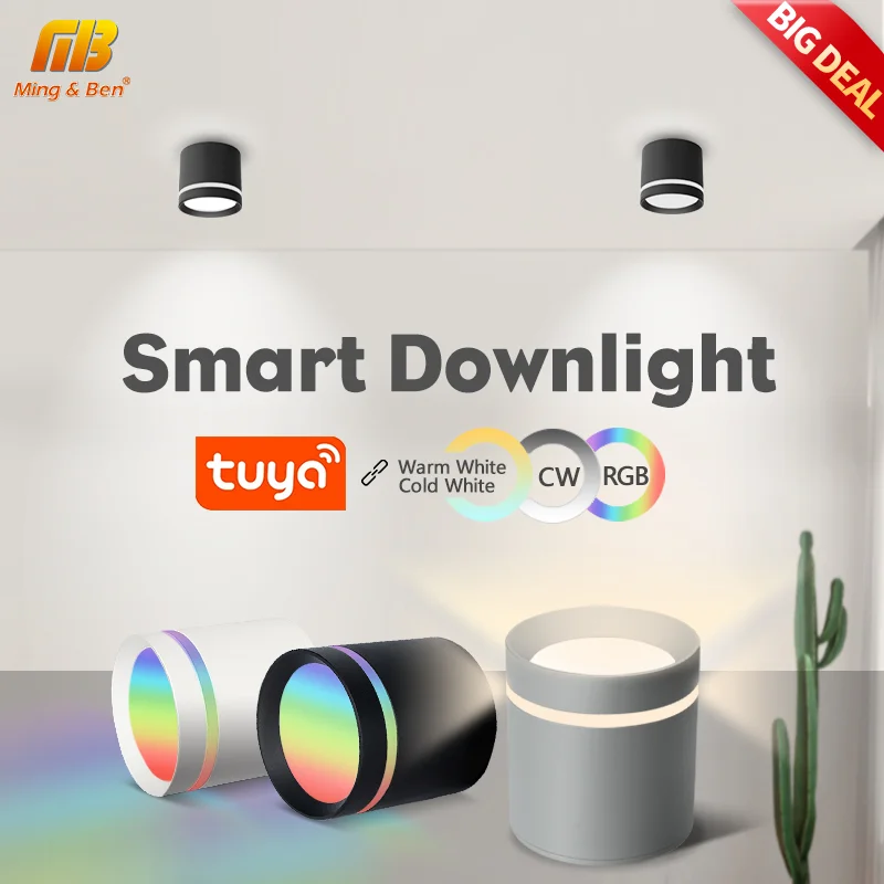 Smart RGB Downlight Modern Indoor Home Decor LED Light 13W 220V Spotlight Luster TUYA Bluetooth APP Dimming Bedroom Living Room