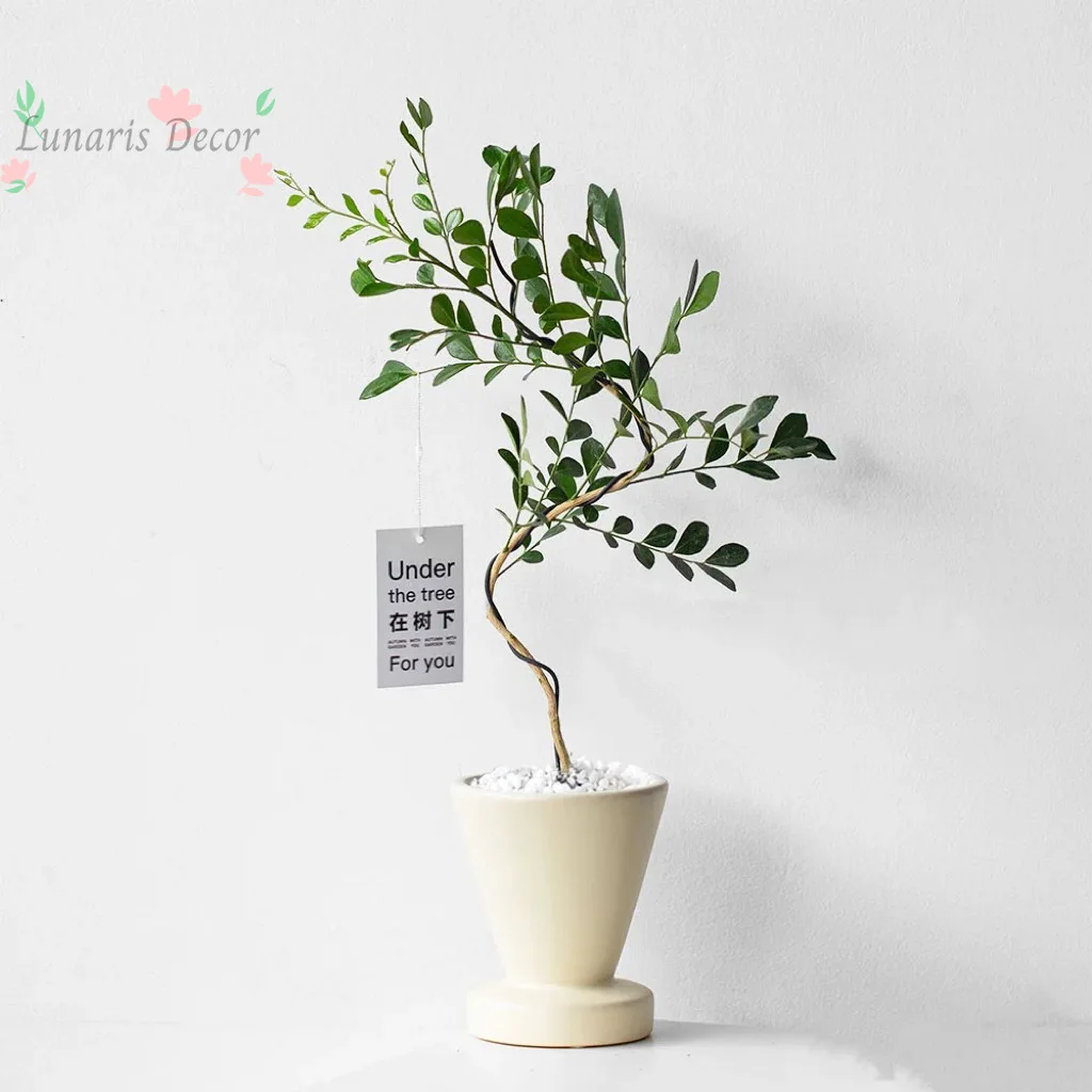 Phalaenopsis Flower Pot High-end Internet celebrity Cream Wind Ceramic Flower Pot Nordic Paphiopedilum Potted Orchid