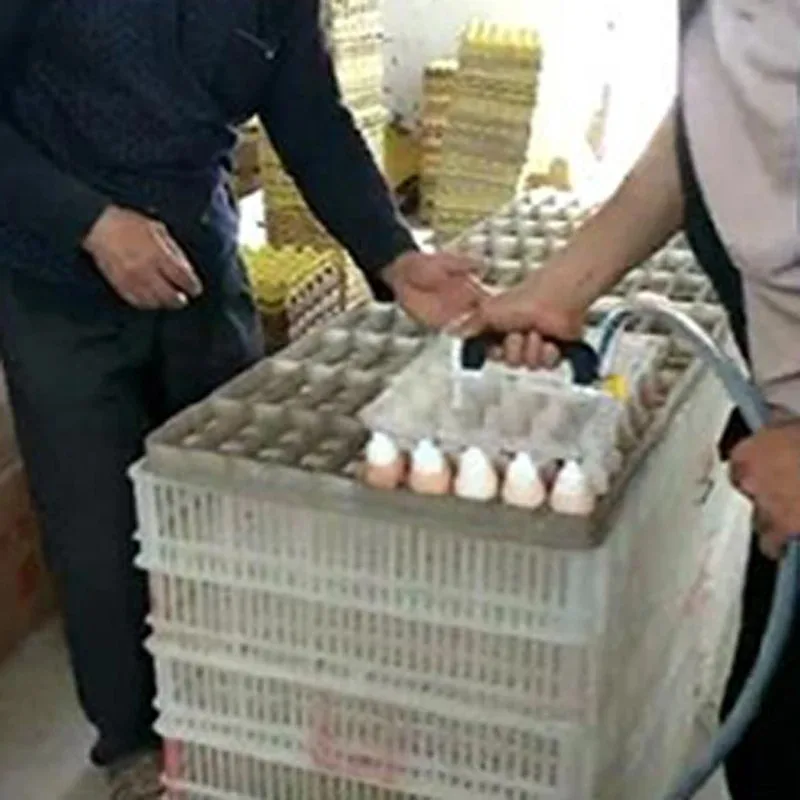 30pcs Vacuum Egg Stacker with Two Handles Chicken & Duck Egg Sucking Tool for Kitchen Organization Accessory