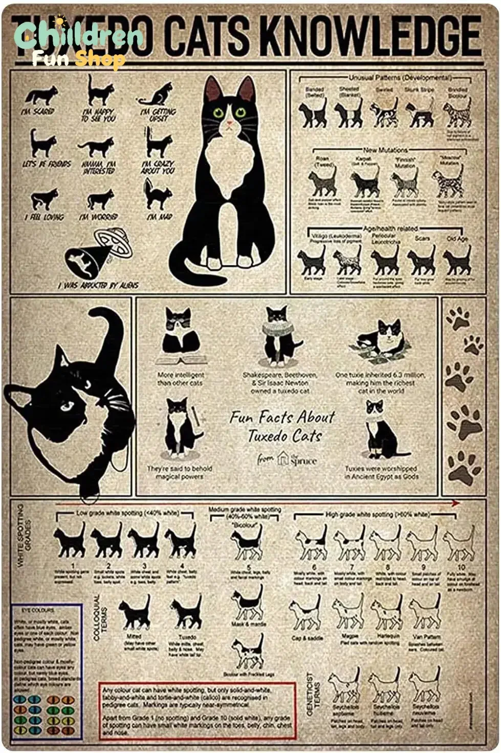 Tuxedo Cats Knowledge Retro Metal Posters Tuxedo Cats Overview Infographics Tin Signs Pet Store Cattery Educational Plaques H