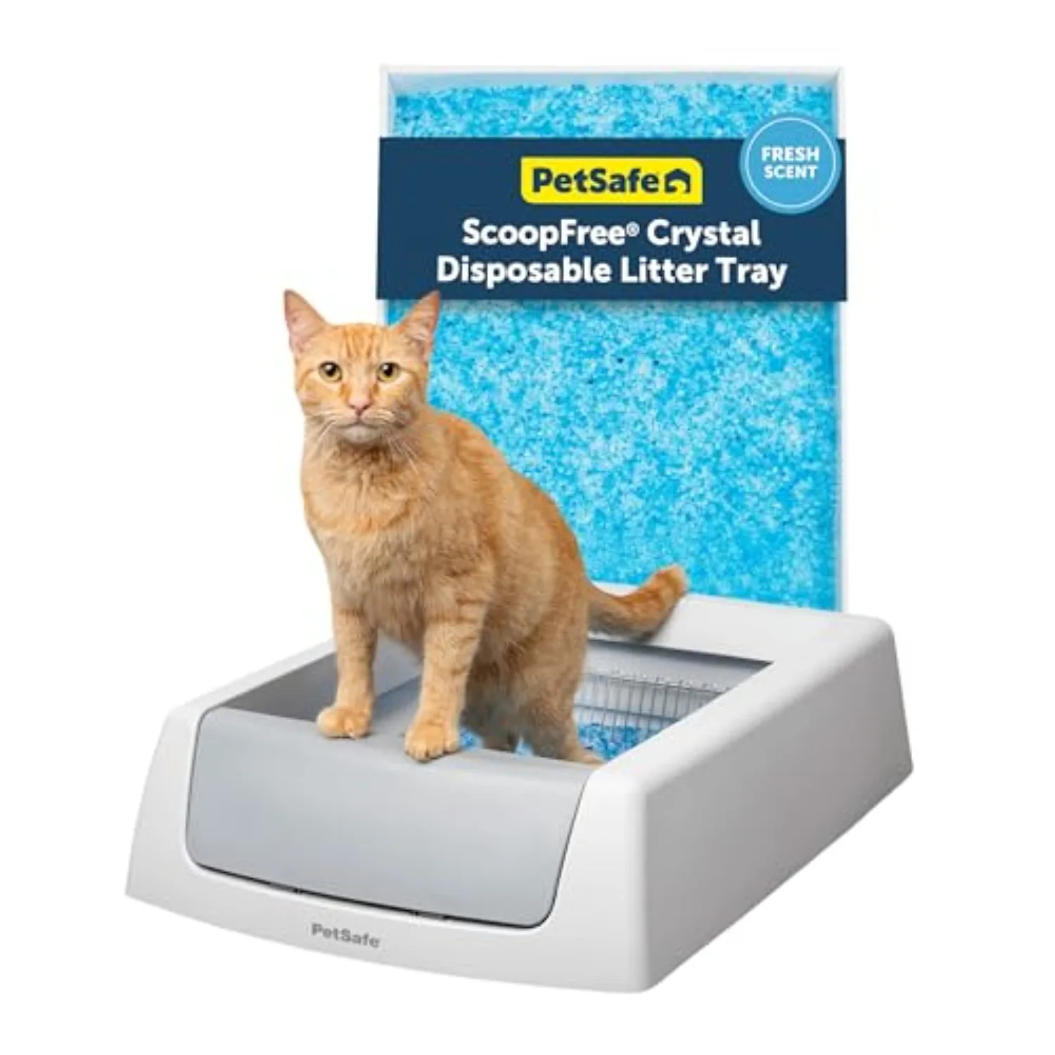 ScoopFree Crystal Classic Self-Cleaning Litter Box, Gray | Hands-Free Automatic Cleaning, Advanced Odor Control, Easy